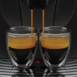 Gaggia Besana 5